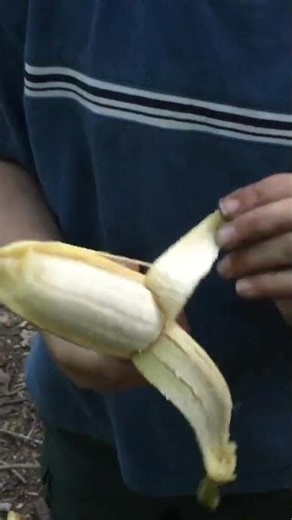 Can a Banana Survive a Backcountry Backpacking Trip? Scoutmaster Put It to the Test!