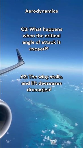 These 4 Forces Make Planes Fly!