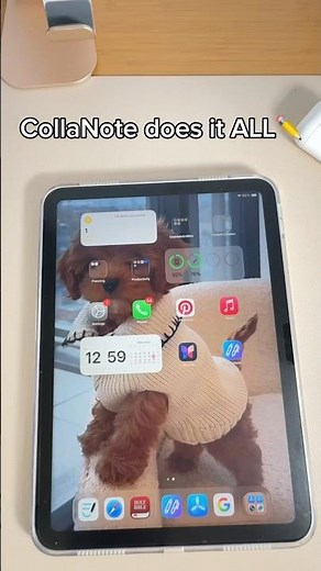 CollaNote features you’ll actually use ✨ #collanote #digitalnotes #digitalplanning #shorts