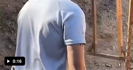 Accidental discharge - Video