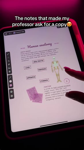 Notes that draw themselves into your memory😉 App: ZoomArt❣️ #ipadnotes #notetaking #notesapp #studytok #studygram