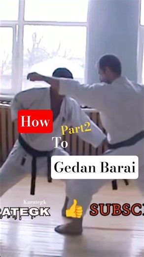 How to Effectively Use Gedan Barai #2
