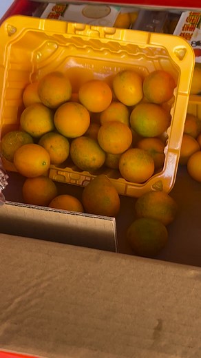 ❌❌❌100.000/3 hộp tắc mua tại cửa hàng | Trái cây nhập khẩu Hoa Biển