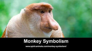 Monkey Symbolism