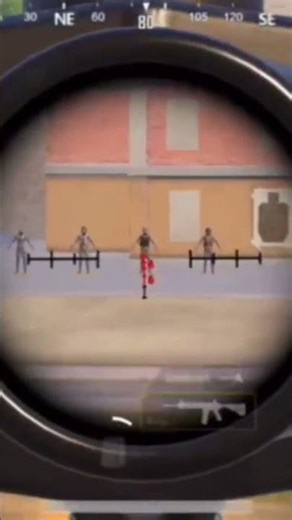 الحساسيه في البايو