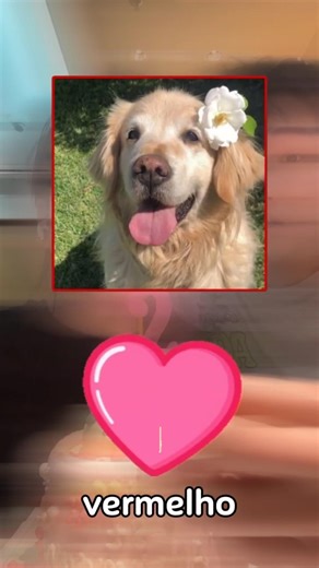 o cabelo dele pegou fogo!🔥 #shorts #curiosidades