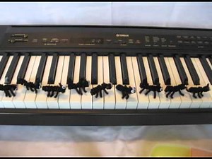 sugar ant (fan video)