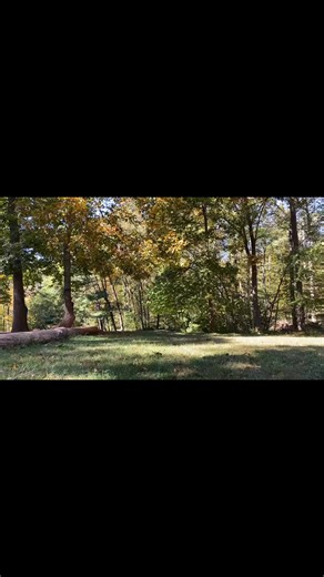 Not scary, just spectacular. 💚Our homemade masks remind us that imagination is the best kind of magic. 🎭✨ | Green Adventure Project School
