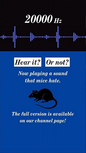 20000Hz Ultrasonic Mouse & Rat Repellent Noise (Test Clip – 20s) – Overnight Deterrent Sound