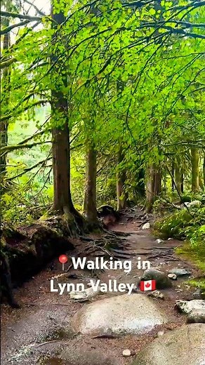 🌧️ Walking Through Rainy Lynn Valley | The Most Peaceful Forest in Vancouver 🍃