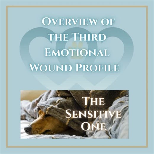 Over the years, I’ve noticed this emotional wound pattern in countless animal lovers who engage in deep soul-to-soul emotional relationships with their animal companions. People falling into this pattern of protection will gravitate to the comfort, safety, and unconditional love of animals since humans were the source of their suffering. As with all give emotional wound profiles, each person or animal will wear the pattern a little differently as there are varying degrees and ways in which it re