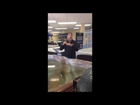 How to Purge Spa Plumbing