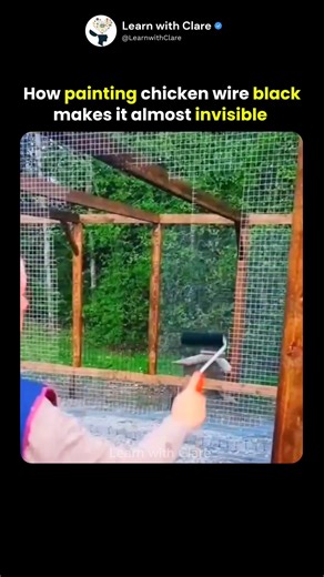 How Black Paint Makes Chicken Wire INVISIBLE! 🤯🎨✨