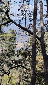 Primero Dios hay andáremos | El Avelino