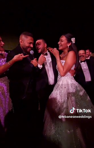 Egyptian Wedding Party Highlights | Tamer Hosny Performances