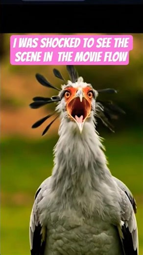 do birds engage in social bullying @flow movie bullying scene in real life
