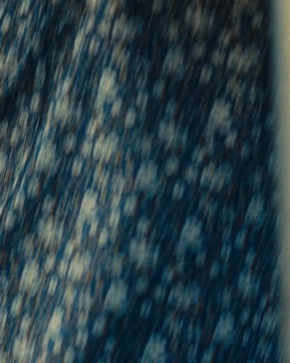 Coffey Anderson on Reels