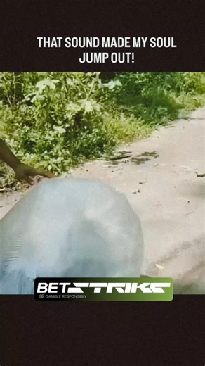 11K views · 160 reactions |  if you love explosions:↴  we hunt the internet for the loudest booms & craziest blasts. ⚡ check our posts & find your ultimate boom moment.  dm us for credit or removal. #explosionmoment #caughtoncamera #viralexplosion #shockingclips #insanereels #crazyfootage #reelsviral #fypreels #explorepage #boomlife | Boomblastexplosion | Facebook