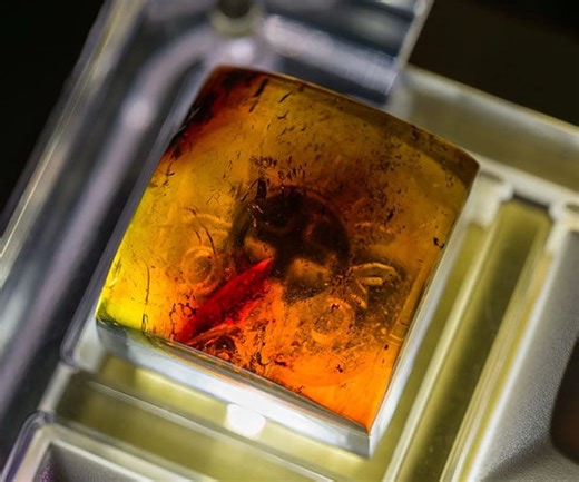 These Crazy Keycaps Are Handmade from Ancient Amber