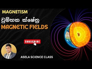 What is a Magnetic Field? | Magnetic Field Lines & Forces - චුම්භක ක්ෂේත්‍ර