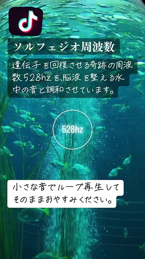 再投稿をお願いします❗️99%が1分以内に眠れるとされる音源です。心と身体を整えながら眠れます。 ループ再生しておやすみください。 #ソルフェジオ周波数 #睡眠用bgm #眠くなる動画 #眠れる音 #水の音