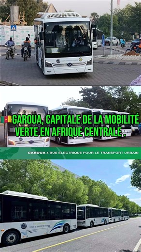 🛑Garoua passe à l’électrique ! ⚡️🇨🇲 Depuis le 30 janvier 2026, la Société de Transport de Garoua (STG) a mis en service les premiers bus électriques hybrides solaires du Cameroun 🇨🇲. Ils se rechargent via des bornes hybrides alimentées principalement par le soleil brûlant du Septentrion. 380 km d’autonomie pour un transport zéro émission. C’est une première en Afrique Centrale #énergieverte #urbanisation #cameroun #afriquecentrale #developpement