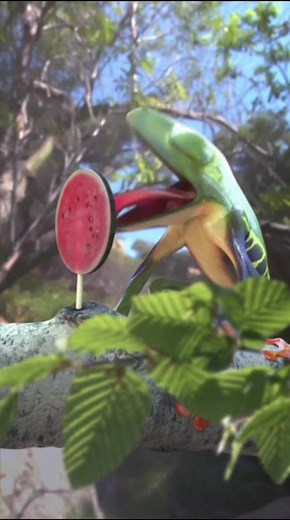 Water Melon Sugar High Animation for Fun