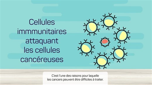 5.6K views · 286 reactions | le système immunitaire | Biologies médicales | Facebook