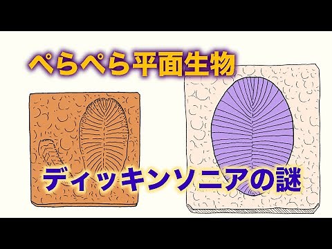 History of the Earth, Part 5: The Ediacaran Period: The Mystery of the Planar Organism Dickinsonia