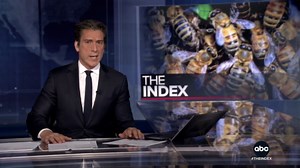 Killer Africanized honey bee spreading across the US and appear to advance north