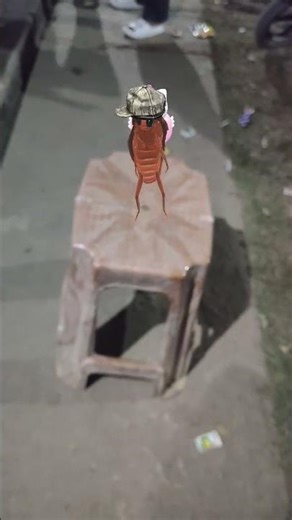 cockroach dancing 🪳 funny dancing cockroach 🪳#short s#dance#funny#pets#viral