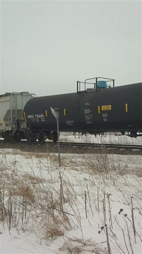 Northbound Union Pacific train with Canadian Pacific grain hopper on the Spine Line