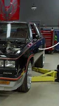 Where To Find Your Vehicle's Paint Code