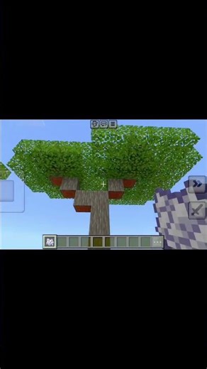 All Types of Trees in Minecraft 🌳 #shorts #minecraft
