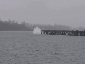 SPLASH: Man running from police drives off Oregon pier into Columbia River. Video courtesy KOIN 6 viewer JD Moreland. Details: kxan.com/2017/12/28/video-man-running-from-police-drives-off-oregon-pier-into-river/?utm_medium=social&utm_source=facebook_KXAN_News | KXAN News