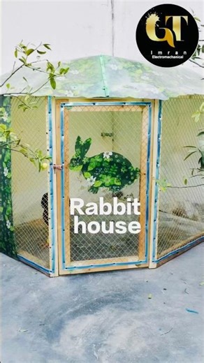 Rabbit House || #diy #rabbit #tricks