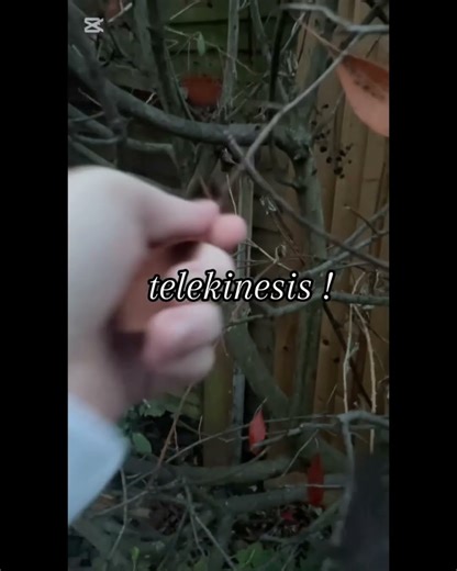 my powers as a fairy ! #fairycore #fairy #fairyqueen #fairyroleplay #relatable 