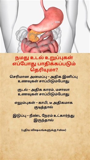 Habits That Can Harm Your Body Organs! ⚠️🩺 | Health Facts #shorts
