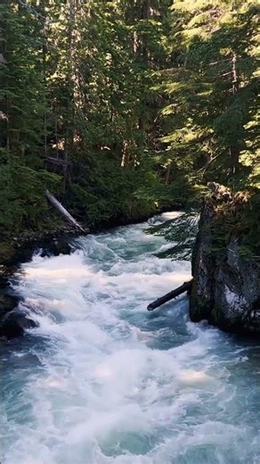 Mountain Stream Power You've Never Felt Before #shorts #naturemagic #focus