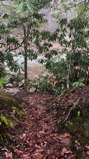 MattC (@mattc1618)’s videos with original sound - MattC