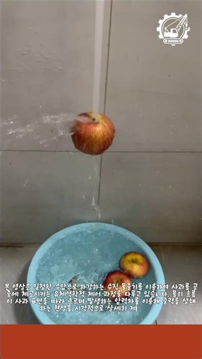 수압과 유체역학을 활용한 사과 수직 체공 제어 방법 #worker #process #physics #waterpressure #experiment