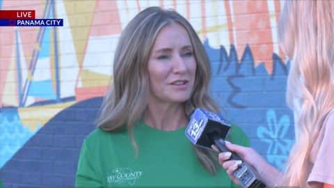 T-rexes to go extinct at the Bay County Chamber of Commerce block party