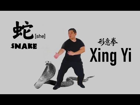 XingYiQuan - Snake form application in takedown (12 animal) 形意拳 - 蛇形 摔法 grappling #xingyiquan