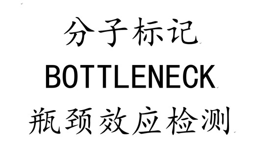 bottleneck