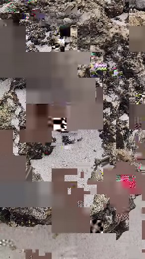 14K views · 257 reactions | Island Life #Tobago | Trini Life With Vedesh | Facebook