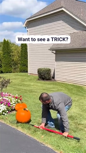 Want to see a trick? Our bulb planter is the perfect tool to create a jack o’ lantern in seconds!  Get yours here! https://bit.ly/3VOycAZ Don't forget to use promo code TrickOrTreat15 for 15% off sitewide! #BullyTools #BuiltToBeBullied #MadeintheUSA | 100% Made in the USA Bully Tools | Facebook