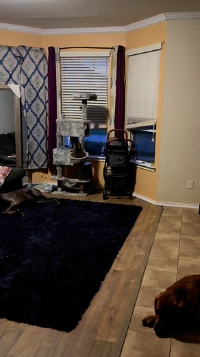 21K views · 673 reactions | They get free concerts  | Latoya Greene | Facebook