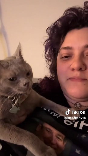 Funny Cat Reactions to Human Voices and Sounds