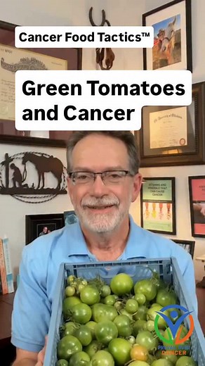 Green tomatoes aren’t just for frying — they may help fight cancer at the cellular level. We are expecting a freeze, so I picked an abundance of green tomatoes. I was pleasantly surprised that unripe tomatoes are rich in tomatine, a glycoalkaloid that’s shown potent anticancer effects in lab studies. Tomatine can trigger apoptosis (cell death), inhibit angiogenesis (blood vessel growth), and reduce metastatic potential in various cancer cell lines and animal models. Green tomatoes are 📙Cancer F