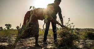 Solvay launches new biodegradable guar-based polymers for beauty care